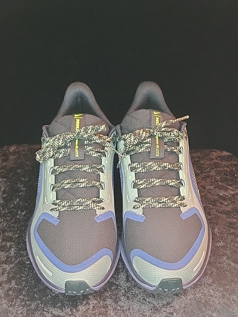 Nike Zoom Air Pegasus 41 GTX